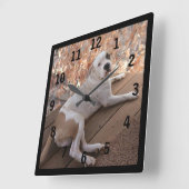 Hond van de Portiek van Pitbull de Onweerstaanbare Vierkante Klok (Hoek)