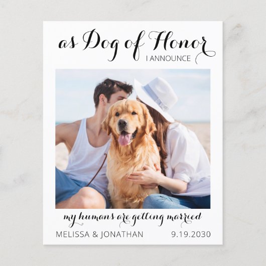 Hond van eerlijkheid en budget bewaren het Briefka (Voorkant)