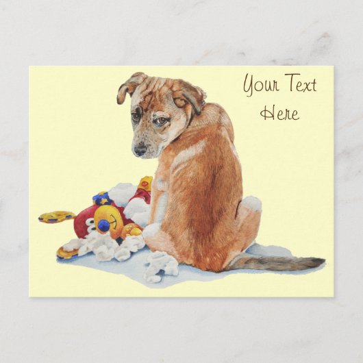 hond van gemengde rassen met een teddyse schattige briefkaart (Voorkant)