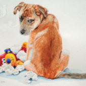 hond van gemengde rassen met een teddyse schattige briefkaart