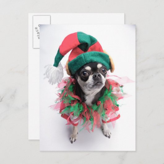 Hond van het Elf van de Helper van de kerstman Feestdagenkaart (Voorkant / Achterkant)