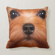 hond van het hoefdier 34