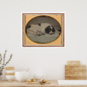 Hond van Sheldon Nichols (39986) Poster (Keuken)