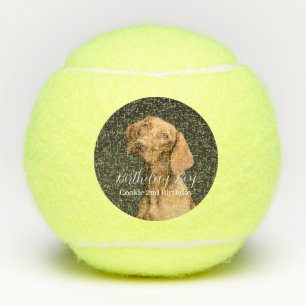 Hond Verjaardags Jongen Modern Foto Tennisballen