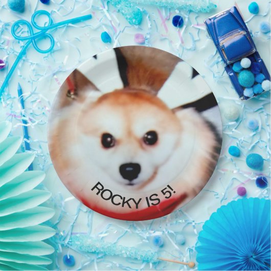 Hond verjaardagsfeestje aangepaste foto papieren bordje (Feest)