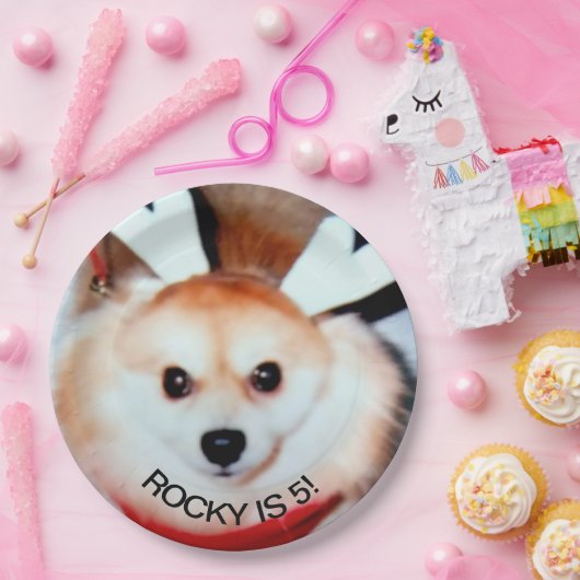 Hond verjaardagsfeestje aangepaste foto papieren bordje (Feest)