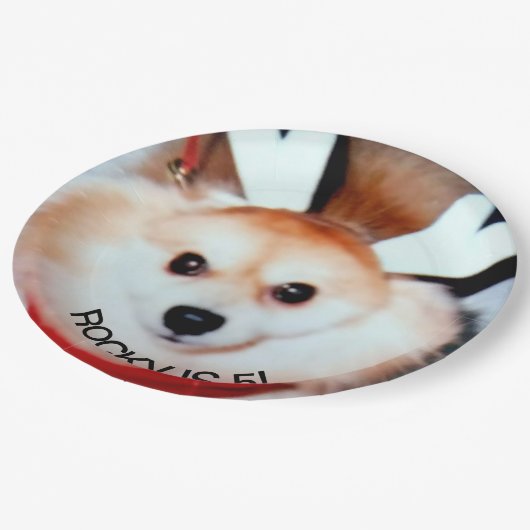 Hond verjaardagsfeestje aangepaste foto papieren bordje (Gekanteld)