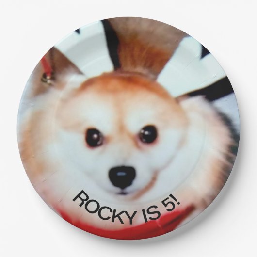 Hond verjaardagsfeestje aangepaste foto papieren bordje (Voorkant)