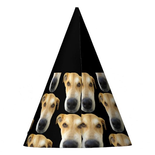 Hond Verjaardagsfeestje Custom Pet Foto Feesthoedjes (Achterkant)