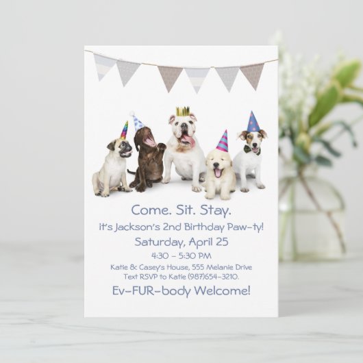 Hond Verjaardagsfeestje Voor Reu Puppy Kaart (Staand voorkant)