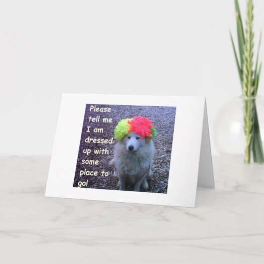 HOND VERKLEED OM JE "30E" B-DAG TE VIEREN KAART (Voorkant)