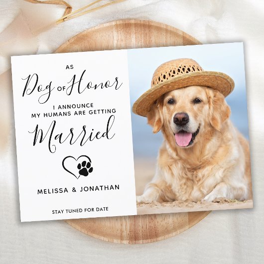 Hond Verloving van het Honor Modern Foto Pet Weddi Aankondiging
