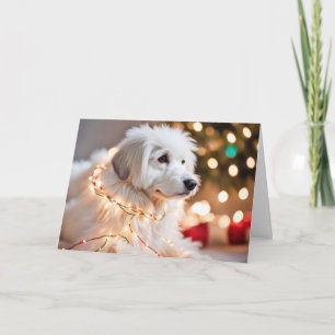 Hond verstrikt in kerstverlichting feestdagen kaart