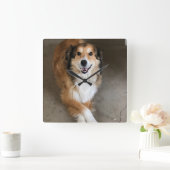 Hond Vierkante Klok (Huis)