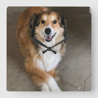 Hond Vierkante Klok