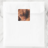 hond vierkante sticker (Tas)