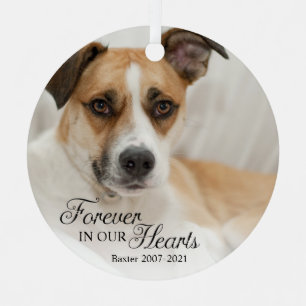 Hond Voor Altijd In Onze Hart Foto Metalen Ornament