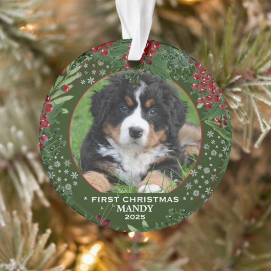 Hond voor de eerste Kerstmis: een mooie sneeuwvlok Ornament (Boom)