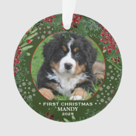 Hond voor de eerste Kerstmis: een mooie sneeuwvlok Ornament