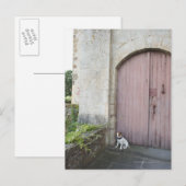 Hond voor gesloten deuren briefkaart (Voorkant / Achterkant)