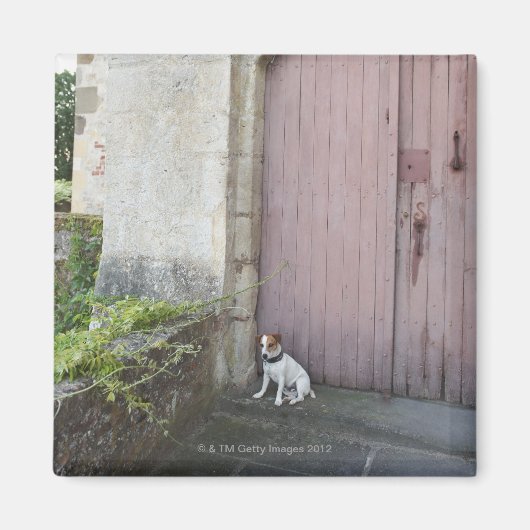 Hond voor gesloten deuren magneet (Voorkant)
