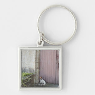 Hond voor gesloten deuren sleutelhanger