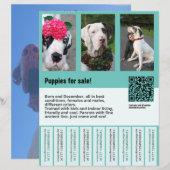 hond voor verkoop flyer sjabloon (Voorkant / Achterkant)