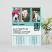 hond voor verkoop flyer sjabloon (Staand voorkant)