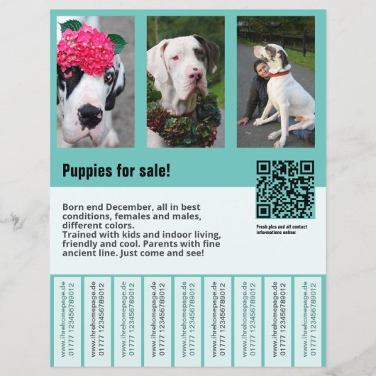 hond voor verkoop flyer sjabloon (Voorkant)