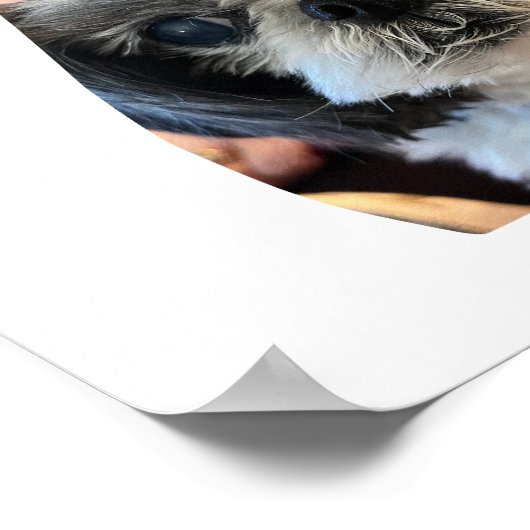 Hond Vorm Foto Collage Poster (Hoek)