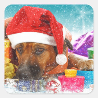Hond wacht op Kerstmis Vierkante Sticker