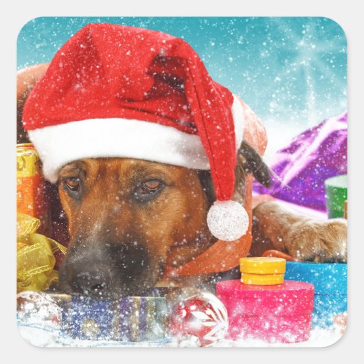Hond wacht op Kerstmis Vierkante Sticker (Voorkant)