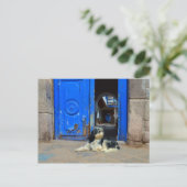 Hond wacht voor de blauwe deur, Cusco, Peru Briefkaart (Staand voorkant)