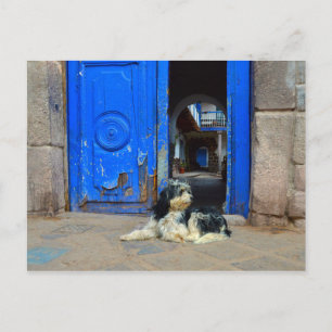 Hond wacht voor de blauwe deur, Cusco, Peru Briefkaart