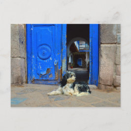 Hond wacht voor de blauwe deur, Cusco, Peru Briefkaart