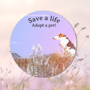 Hond wachtend op zijn Familie Ronde Sticker
