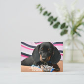 Hond Walker Huisdier Zitten Zorg Puppy Visitekaartje (Staand voorkant)