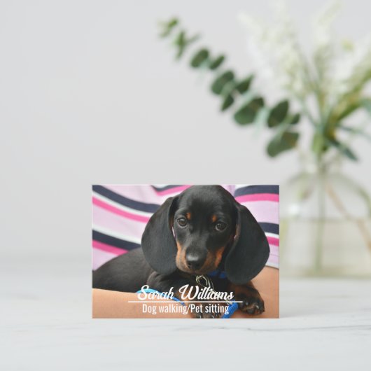 Hond Walker Huisdier Zitten Zorg Puppy Visitekaartje (Staand voorkant)