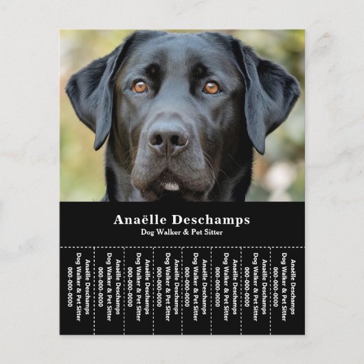 Hond Walker Pet Sitter Foto Scheur Off Strips Flye Flyer (Voorkant)