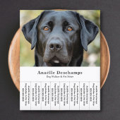 Hond Walker Pet Sitter Foto Scheur Off Strips Flye Flyer