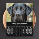 Hond Walker Pet Sitter Foto Scheur Off Strips Flye Flyer<br><div class="desc">Een slanke en minimalistische zwarte flyer met Tear Off Strips met een aanpasbare foto van een schattige zwarte Labrador,  perfect voor hondenloper & dierenoppas,  hondengedrag opvoeder,  trimmer. Je kunt de foto vervangen door je eigen logo! Op de achterkant zit een hondenpootpatroon!</div>
