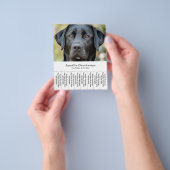 Hond Walker Pet Sitter Foto Scheur Off Strips Flye Flyer (Hand)