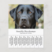 Hond Walker Pet Sitter Foto Scheur Off Strips Flye Flyer (Voorkant)