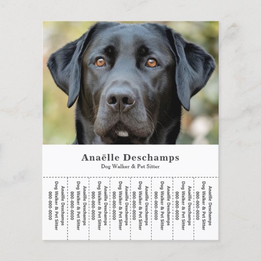 Hond Walker Pet Sitter Foto Scheur Off Strips Flye Flyer (Voorkant)