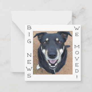 Hond weg GELUKKIG! Briefkaart
