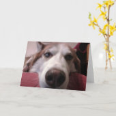 Hond Wenskaart Kaart (Gele Bloem)