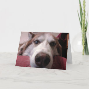 Hond Wenskaart Kaart