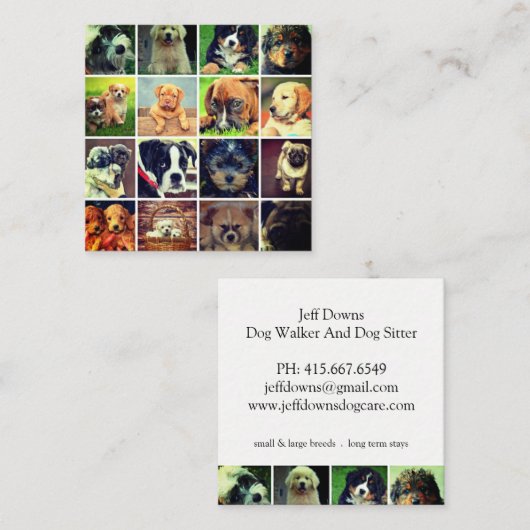 Hond ziet collage Dog Walker Trainer en Sitter Vierkante Visitekaartje (Voorkant / Achterkant)