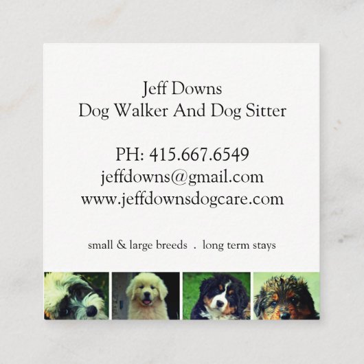 Hond ziet collage Dog Walker Trainer en Sitter Vierkante Visitekaartje (Achterkant)