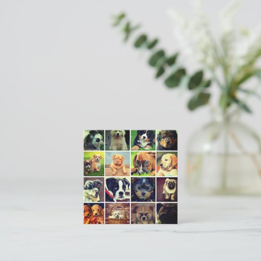 Hond ziet collage Dog Walker Trainer en Sitter Vierkante Visitekaartje (Staand voorkant)